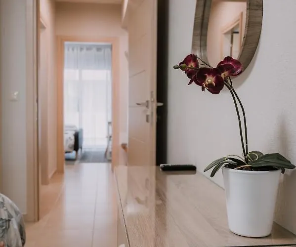 Pleasure ι Апартаменты *